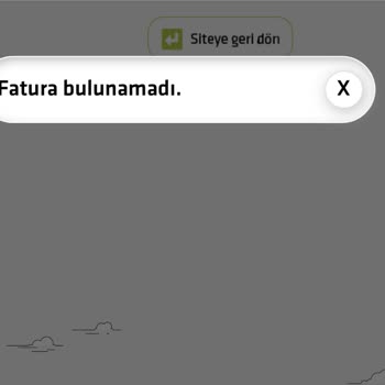 Siparişin İzinde Kaybolan Akşam Yemeği