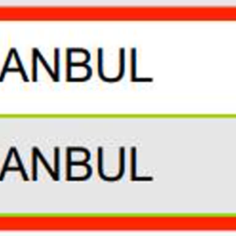 VFS Global Randevu Sorunu: Mağduriyet Ve Gecikmeler