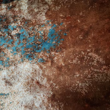 Pierre Cardin Halı Üzerinde İz Bırakan Ürünler