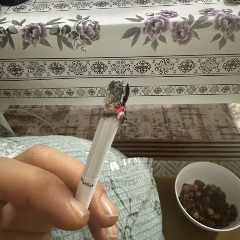 Sigara Paketlerinden Çöp Çıkması