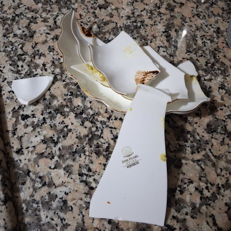 Yanıltıcı Garanti Sözü Ve Müşteri Hizmetleri Sorunu