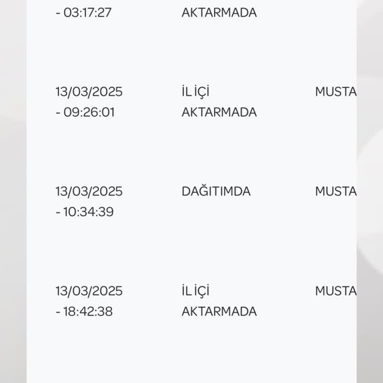 PTT Kargo Teslimat Sorunları: Dağıtılamayan Paketler
