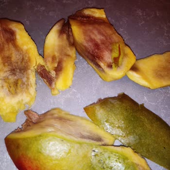 Migros'tan Aldığım Çürük Meyveler