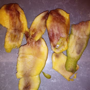 Migros'tan Aldığım Çürük Meyveler