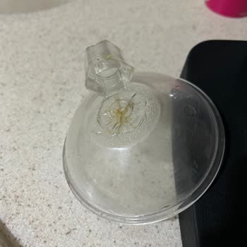 Sinbo Narenciye Sıkacağı İçin Yedek Parça Talebi