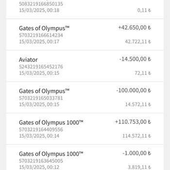 Kazandığım Paranın Sistem Tarafından Sıfırlanması
