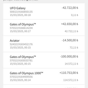 Kazandığım Paranın Sistem Tarafından Sıfırlanması