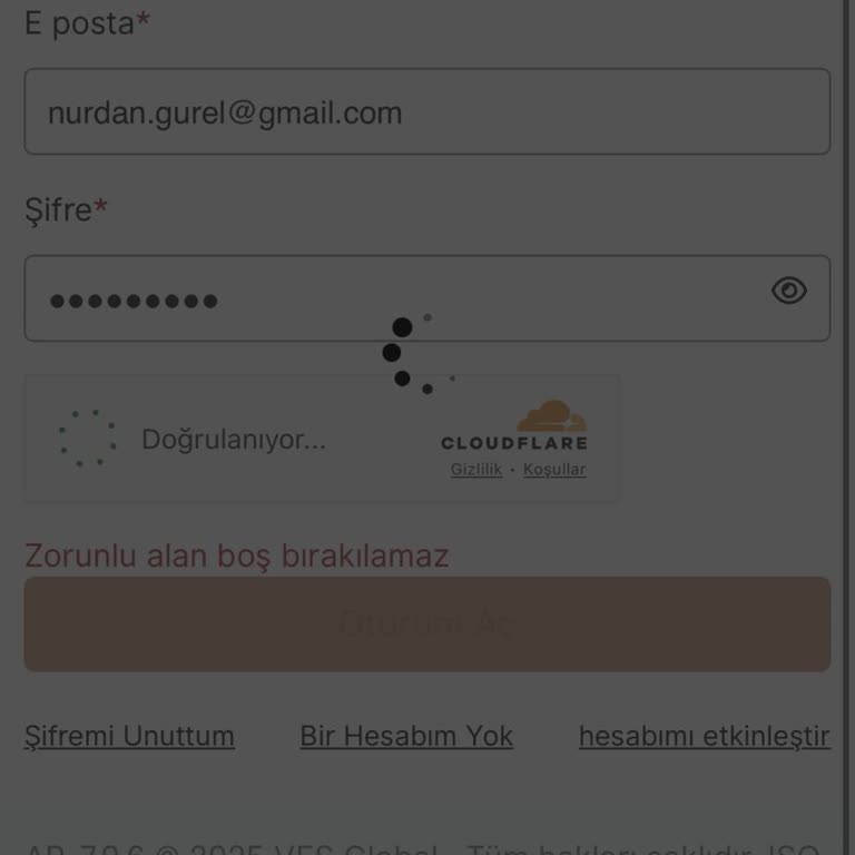 VFS Hollanda Sitesi: Sürekli Erişim Sorunları Ve Mağduriyet