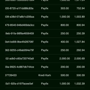 Kazanç Sağlamayan Yatırım Deneyimi