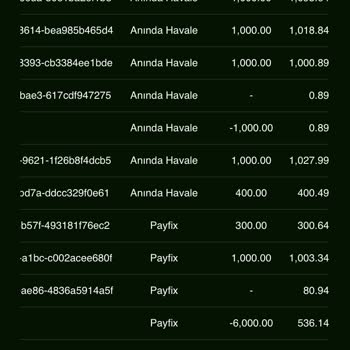 Kazanç Sağlamayan Yatırım Deneyimi