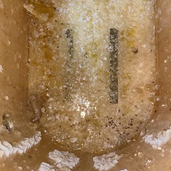 Akdamar Peynircilik'ten Aldığımız Bal Ful Karıncalı Çıktı