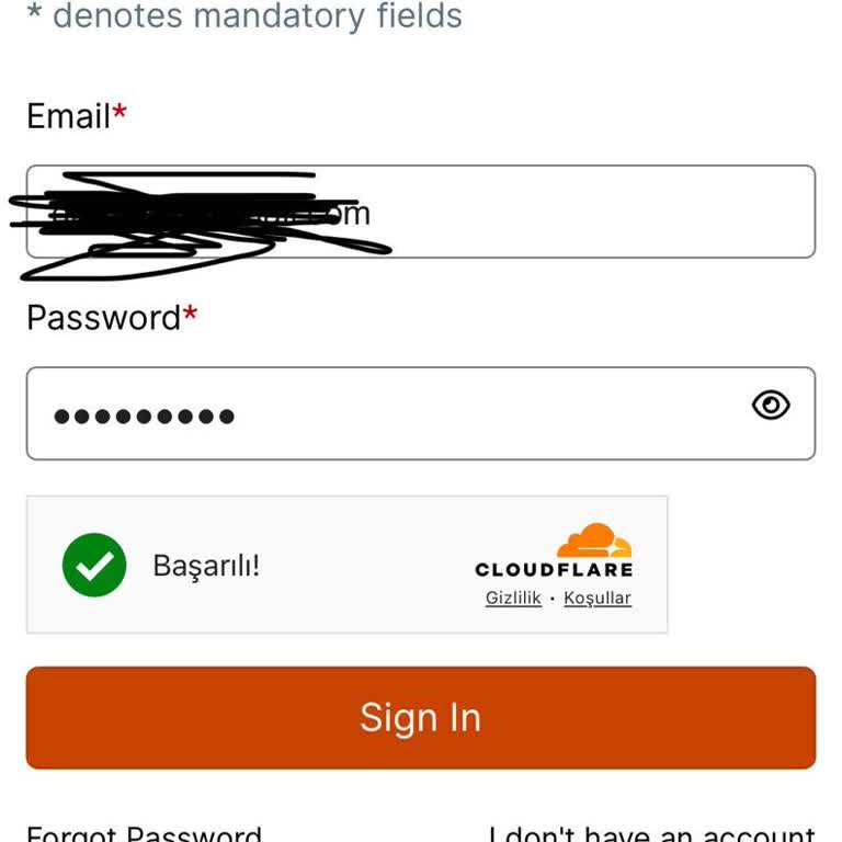 Vize Başvuru Sürecinde Yaşanan Teknik Sorunlar