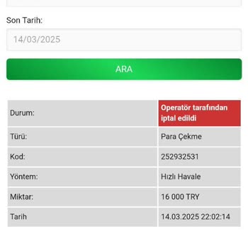 Betwild Sitesinde Kazançların Silinmesi