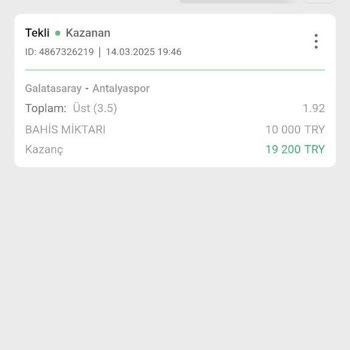 Betwild Sitesinde Kazançların Silinmesi