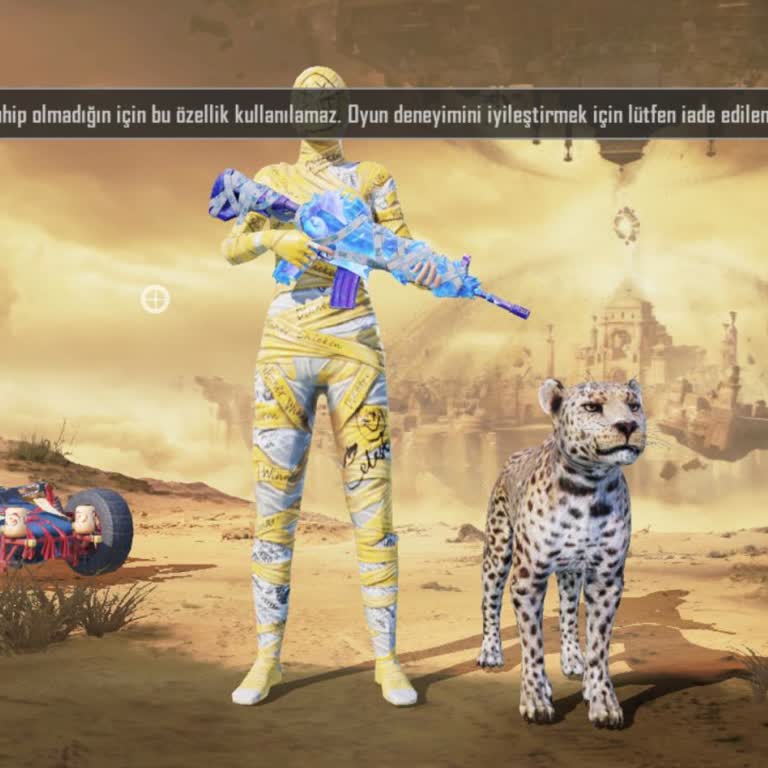 Oyun İçi Uyarı Ve Erişim Sorunu