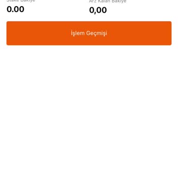 Bitci'de İşlem Yapılamıyor: Paramız Mahsur Kaldı!