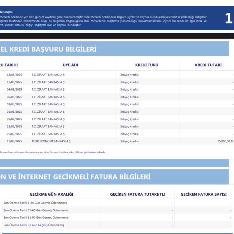 Kullanılmayan Kredinin Risk Raporunda Görünmesi
