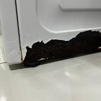 Çamaşır Makinesi Kasası Değişmedi, Boyandı