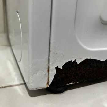 Çamaşır Makinesi Kasası Değişmedi, Boyandı