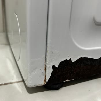 Çamaşır Makinesi Kasası Değişmedi, Boyandı