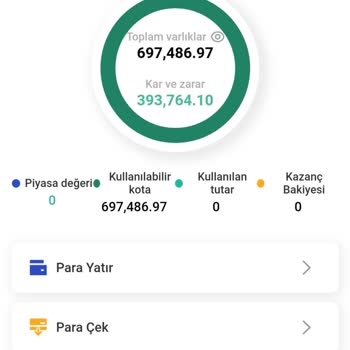 Yatırım Platformunda Yaşanan Büyük Kayıp
