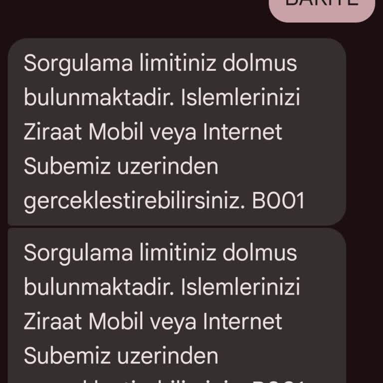 Ziraat Bankası Mesaj Sorgulama Sorunu