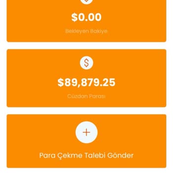 Alışveriş Platformunda Geri Ödeme Sorunu