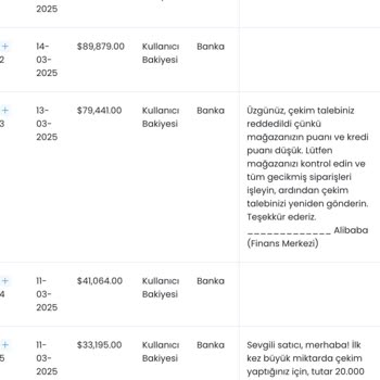 Alışveriş Platformunda Geri Ödeme Sorunu