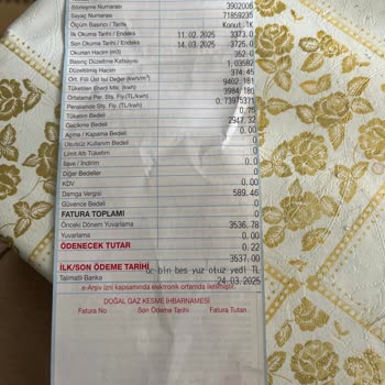 Hatalı Fatura: Kullanmadığım Doğalgaza Yüksek Ücret