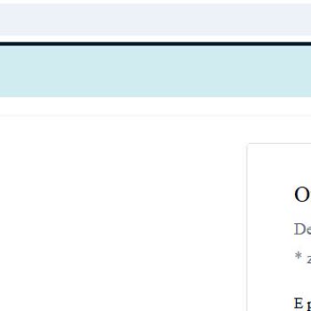 Vize Randevu Sistemi Sürekli Hata Veriyor