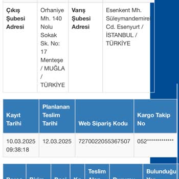 Sürat Kargo İle Zamanında Teslim Edilmeyen Kedi Kumu