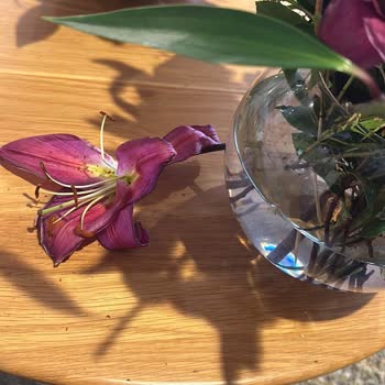 Çiçek Sepeti'nden Bozuk Ve Eksik Ürün Şoku