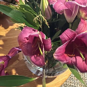 Çiçek Sepeti'nden Bozuk Ve Eksik Ürün Şoku