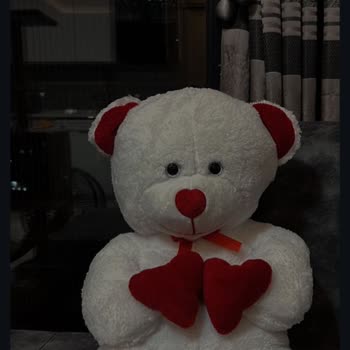 Harika Peluş Fabrikası Farklı Ürün Gönderimi