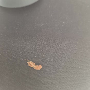 Çikolatadan Çıkan Şok Edici Yabancı Madde