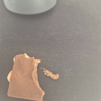 Çikolatadan Çıkan Şok Edici Yabancı Madde