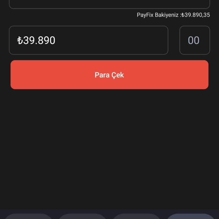 Payfix Hesabından Para Çekememe Ve İletişim Sorunu