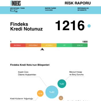 Findeks Notumda Mavi Nokta Sorunu