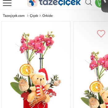 Yanlış Tarihte Ve Yanlış Ürünle Gelen Sipariş Mağduriyeti