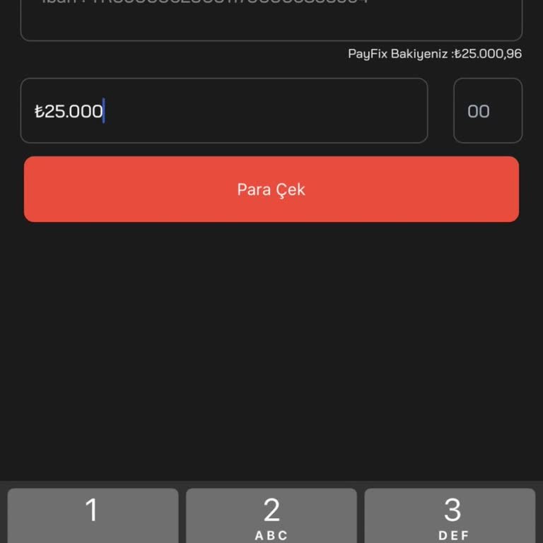 Payfix Hesabımdaki Paraya Ulaşamıyorum: Müşteri Hizmetleri Cevap Vermiyor
