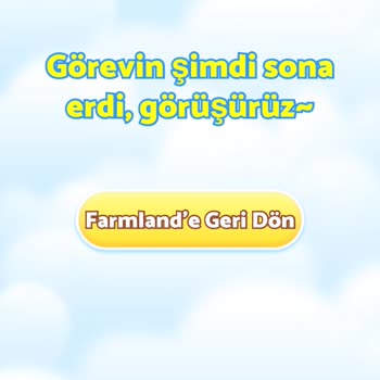 Temu Farmland Uygulamasının Yanıltıcı Yapısı