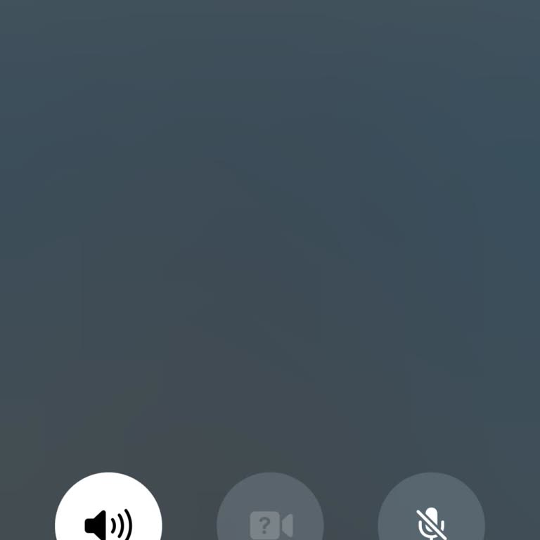 Araç Kiralama Sürecindeki İletişim Sorunları Ve Müşteri Hizmetleri Eksikliği