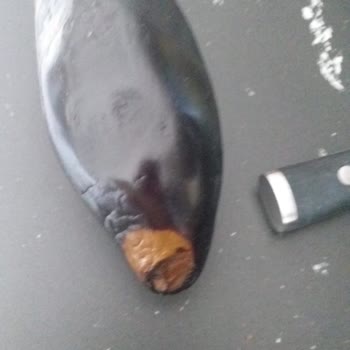 Alanya Mangosu: Küflü Ve Bozuk Ürün Hayal Kırıklığı