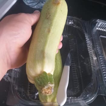 Alanya Mangosu: Küflü Ve Bozuk Ürün Hayal Kırıklığı