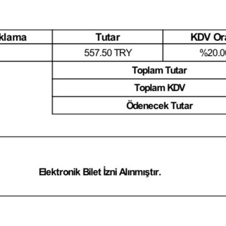 Başkent Firması İle Yaşanan Yolculuk Sorunu