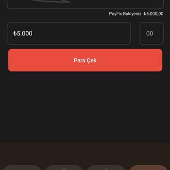 Payfix Hesabında Para Çekim Ve Yatırma Sorunu