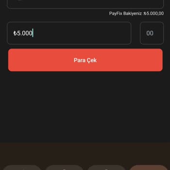 Payfix Hesabında Para Çekim Ve Yatırma Sorunu
