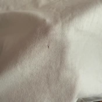 Yırtık Gelen Tişört Ve İade Sorunu