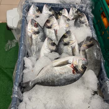 İzmir Karaburun'da Sağlıksız Balık Satışı Endişesi