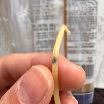 Makarna Ürününde Böcek Şüphesi